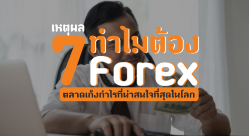 ในปัจจุบันต้องบอกเลยว่า Forex เป็นรูปแบบหนึ่งของการเก็งกำไรที่กำลังได้รับความนิยมเป็นอย่างมากทั้งต่างประเทศและในประเทศไทยของเรา ซึ่งหลายคนก็อาจจะเกิดคำถามว่า ทำไมต้อง Forex ทั้งที่การเก็งกำไรก็ทำได้หลากหลายวิธี ไม่ว่าจะ
เยี่ยมชม:-https://www.forexsi.com/ทำไมต้อง-forex/