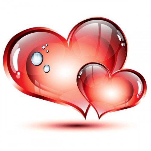 08938f86cbffaa4d3027c4c45067a2a8--beautiful-hearts-two-hearts.jpg