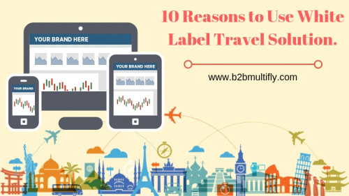 10-Reasons-to-Use-White-Label-Travel-Solution.-1.jpg