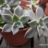 2018-2eb039c0e23f5cc28