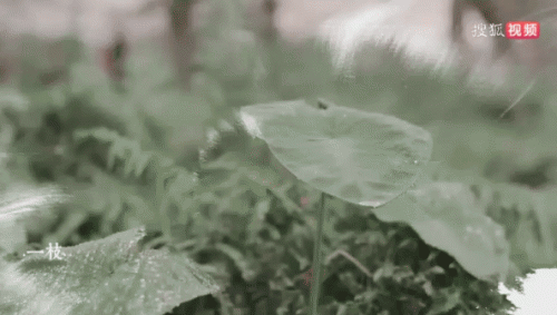 20230323_140931.gif