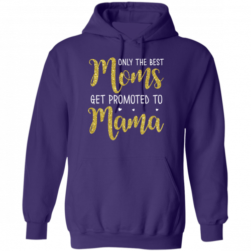 2Hoodie4spurple7c4c23239c901ce2.png