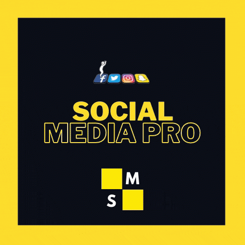 2SM-Pro.gif