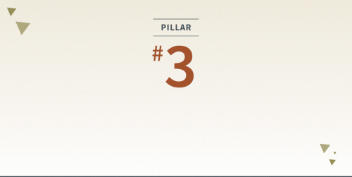 #3 Pillar VillageReach