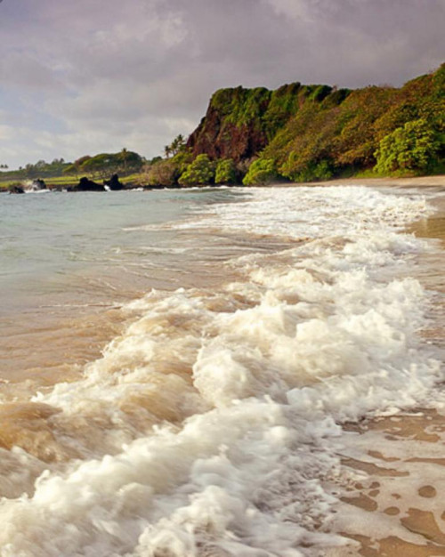 The island offers the perfect climate for growing coffee beans – just the right amount of rain combined with soil enriched by volcanic ash. Most of the farms are small, and their young owners are putting their hearts and efforts into shaping their Maui coffee as a new, unique alternative to the Big Island’s traditional Kona coffee.
For More Details Click: https://dukeshawaiiancoffee.com/