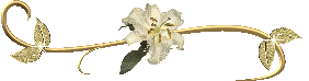 6iqtz9.gif