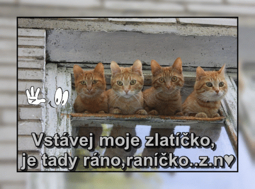 6lllíi