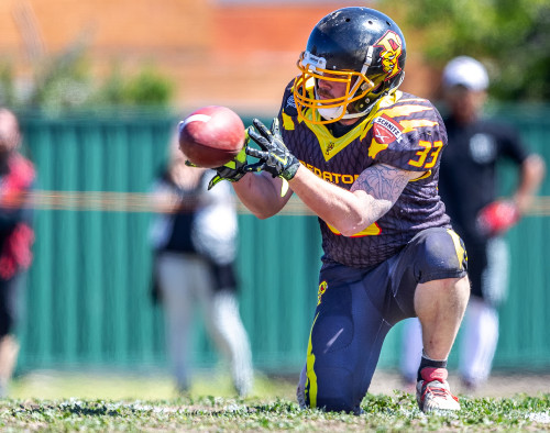 Gridiron Victoria: South Eastern Predators