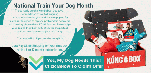 Let’s refocus for the year and set your pup up for success. Designed to replace problematic behaviors with healthy alternatives, KONG Solution Boxes helps your dog be their best self.  Discover the perfect solution box for you and your pup today!