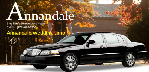 Annandale-Wedding-Limo.jpg