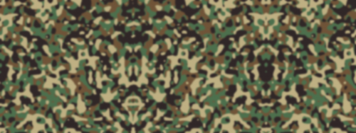 Army bg blurred