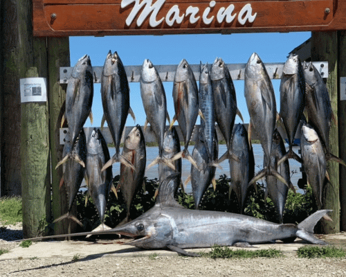 Champion Fishing Charters, the best Venice Louisiana fishing Charter Company has specialties in deep sea tuna fishing trips. We strive to provide you the expertise of catching fish and the best planned fishing trips so that you make the most of your wonderful outing within your budget. Visit,https://bit.ly/3rkiptf