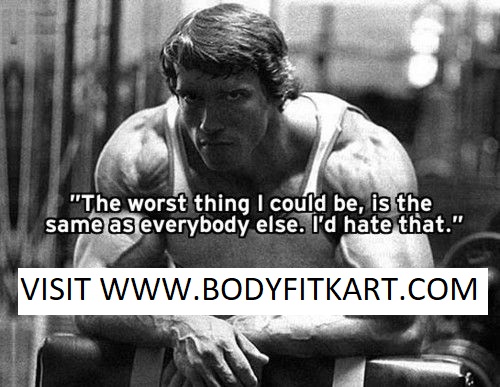 BODYFITKART12.jpg