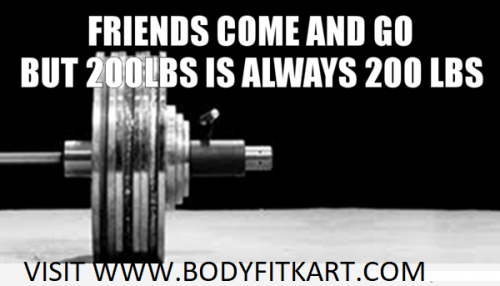 BODYFITKART5.png