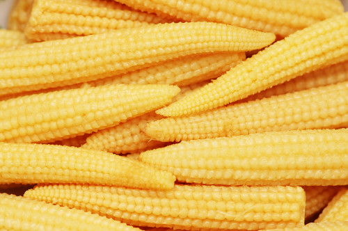 Baby-Corn-Boiled3c62ab90b441f0a4.jpg