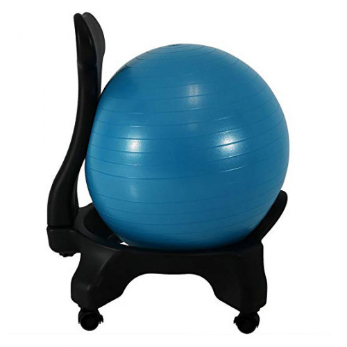 Balance Ball Chair b