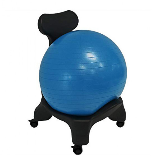 Balance Ball Chair c