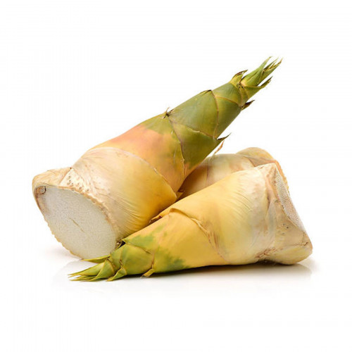 Bamboo-Shoot06a2cc22dc24db02.jpg