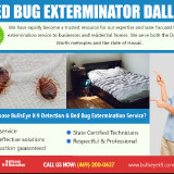 Bed-Bug-Exterminator-Dallas