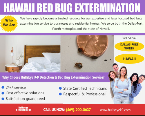 Bed bug exterminator to quickly and safely eliminate bed bugs  at http://www.bullseyek9.com/

Find Us : 

https://goo.gl/maps/CtY8hjzJCAs

Bugs are naturally difficult to detect and kill. These pests stay active during the night, and we usually get attacked when we sleep, this is typically the time when we're most vulnerable. They're perfect in hiding, and as a matter of fact, they only come out in the open during feeding time. If you're not so familiar with a bug's life cycle and habits and it will be difficult for you to locate all of them, then it's time to consider bed bug exterminator.

Our Services :

Bed bug exterminator
Bed bug treatment
Bed bug service
Certified bed bug control

Address   : Frisco, TX, USA
Contact Us  : +1 469-200-0637
Visit Our Website : http://www.bullseyek9.com/

Follow us on Social Media :

https://www.facebook.com/Bulls-Eye-K9-Detection-1939638712938556/
https://twitter.com/bullseyek9detec
https://www.instagram.com/bedbugdetector/
https://www.pinterest.com/bedbugremoval/
https://www.youtube.com/channel/UC9X-tv139TEjTuWfIrevYeg
https://plus.google.com/101417159770663203427