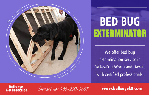 Bed bug exterminator ensure that every remaining secure at http://www.bullseyek9.com/

Find us:

https://goo.gl/maps/uzWd8xPM8A32

Bed bug exterminator is quite famous these days mainly because they are naturally difficult to kill. This parasite is active during the night and usually attacks its victim during the period when they are most vulnerable, that is when they are asleep. Also, these parasites are also very secretive and are only out in the open during feeding time. Unless you are good at finding their hiding niches will you be lucky enough to destroy them and be free from their pestering effects?

Deals In:

hawaii bed bug extermination control & services
bed bug exterminator hawaii 
hawaii bed bug services
hawaii bed bug control 
hawaii bed bug extermination

Add: 

Frisco, TX, USA

call us  : 469-200-0637
Mail   :  john@bullseyek9.com

WOrking Hours 
 : 
Mon to Fri  :  8:00am to 6:00pm

Follow on Social Media:

https://www.facebook.com/Bulls-Eye-K9-Detection-1939638712938556/
https://twitter.com/Bedbugsremoval
https://www.instagram.com/bedbugdetector
https://www.pinterest.com/Bedbugsremoval/
https://www.youtube.com/channel/UC9X-tv139TEjTuWfIrevYeg
https://plus.google.com/u/0/101417159770663203427
https://www.flickr.com/photos/bedbugremoval/