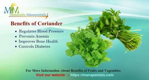 Benefits Of Coriander