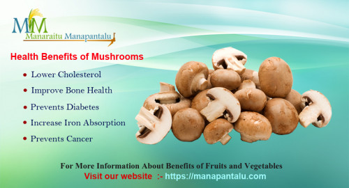 Benefits-Of-Mushroom.jpg