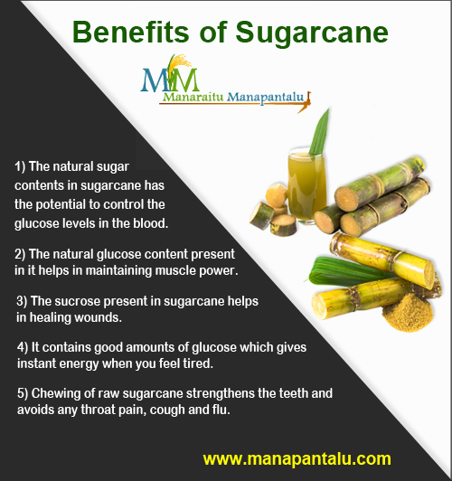 Benefits-Of-Sugarcane.jpg