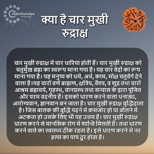 Benefits-of-Chaar-Mukhi-Rudraksha.jpg