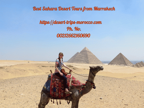 Best-Sahara-Desert-Tours-from-Marrakech.gif