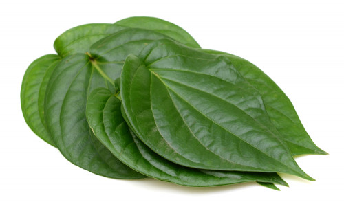 Betel-Leaf08967f6de18ac62e.jpg