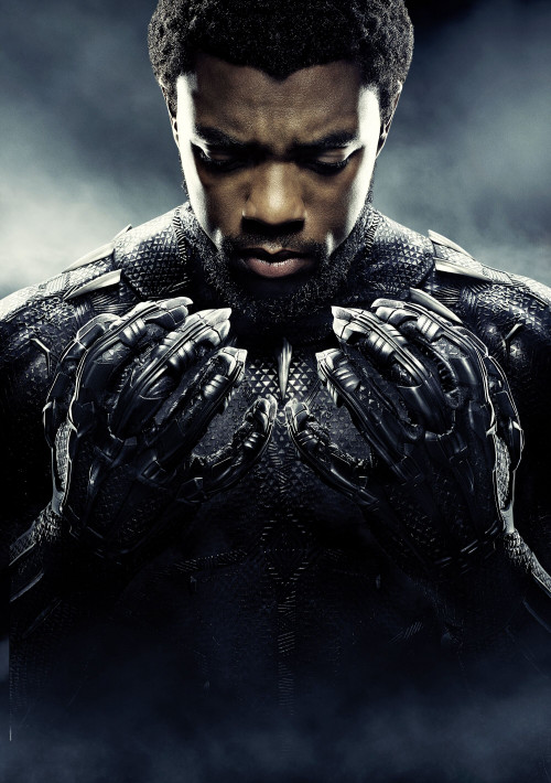 Black Panther Textless Character Poster 01