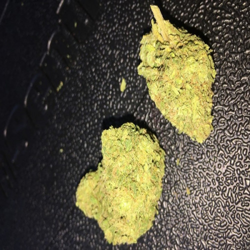 Buy Marijuana-Buy Weed Online at Ganja Tinture Online USA Dispensary. Your legal weed supplier. We ship throughout the USA,UK, Canada, Europe, Asia , Australia and South America. Reliable online marijuana dispensary created to ship top potent pot around the world. Buy Weed Online @ Ganja Tinture USA. Mail....

Visit Now for More Info:- https://www.ganjatinture.com/

Contact Us	

Phone…..+1 214 462 7515

 451 Wall Street, USA, New York
