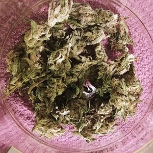 Buy-Quantum-Kush-Weed-Strain-300x300.jpg