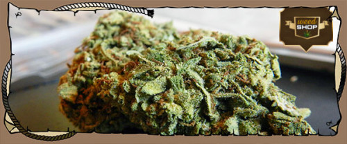 IF you are you looking to buy quality weed in the USA, our online store is the best place for you. Just look at the strains we have and be wowed.
Visit us:-https://www.weedshop247.com/buy-marijuana-online-usa/