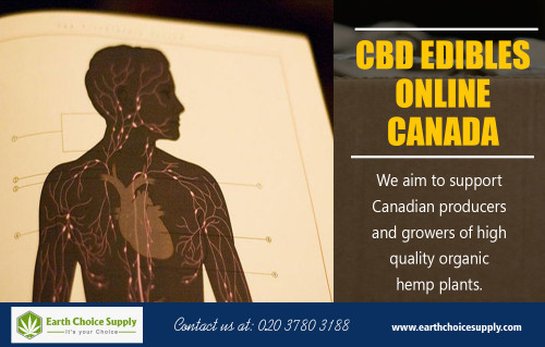 CBD-Edibles-Online-Canada75f8283e1c02198f.jpg