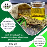 CBD-Oil-Benefits50d5bd67afb19174