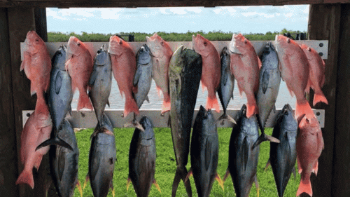 Champion Fishing Charters, the best Venice Louisiana fishing Charter Company has specialties in deep sea tuna fishing trips. We strive to provide you the expertise of catching fish and the best planned fishing trips so that you make the most of your wonderful outing within your budget. Visit,https://bit.ly/3ejIqmB