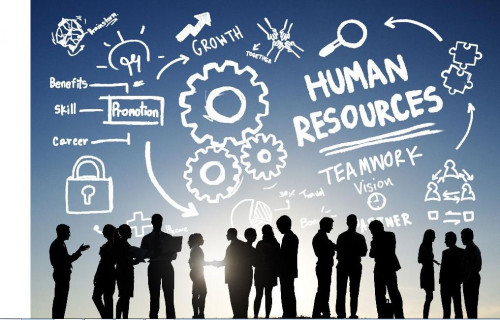We offer best Human resources articles. Read our all articles related to human resources. Best Human resources consultant, Outsourcing human resources and Hr consultancy services in Sydney. Affordable Hr consultant services in Australia. Visit at: http://www.fivestarhr.com.au/hr-advice.php
