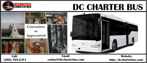 Charter Bus DC (7)