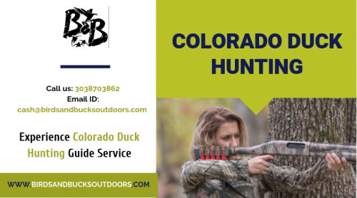 If you have a soft corner for shooting with loaded guns, then Colorado Duck Hunting is what you are searching for. Being the best Duck Hunting Guides, Birds and Bucks Outdoors aims to deliver the utmost satisfaction to the hunters which is nowhere to be found. Hire the real-time guide here so that you’re craving for hunting increases day by day.

https://coloradowaterfulhunting.blogspot.com/search/label/Colorado%20Duck%20Hunting