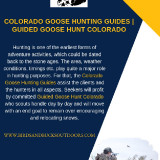 Colorado-Goose-Hunting-Guides-_-Guided-Goose-Hunt-Colorado