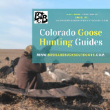 Colorado-Goose-Hunting-Guides