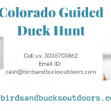 Colorado-Guided-Duck-Hunt