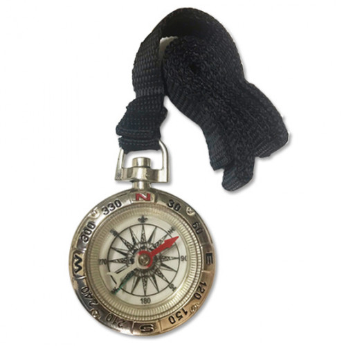 Compass-with-black-strap-b.jpg