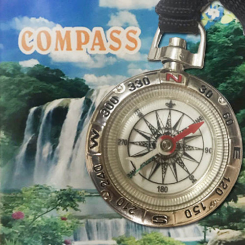 Compass-with-black-strap-d.jpg