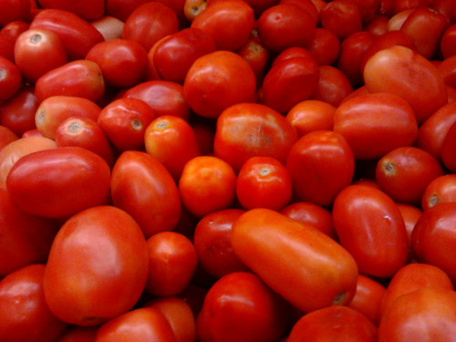 Country-Tomato.jpg