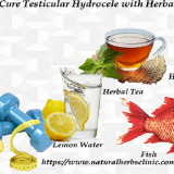 Cure-Testicular-Hydrocele-with-Herbs