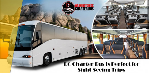 DC-Charter-Bus-is-Perfect-for-Sight-Seeing-Trips---Copy.jpg