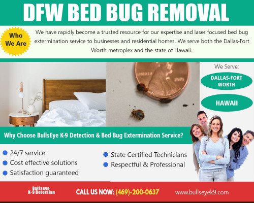 DFW-Bed-Bug-Removal.jpg